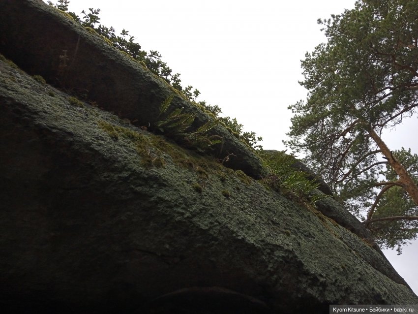 Spock to Enterprise — Коллекционные экшн