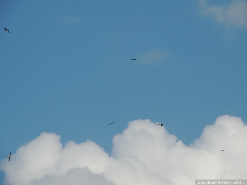 Театральный августфест 22: закадровое