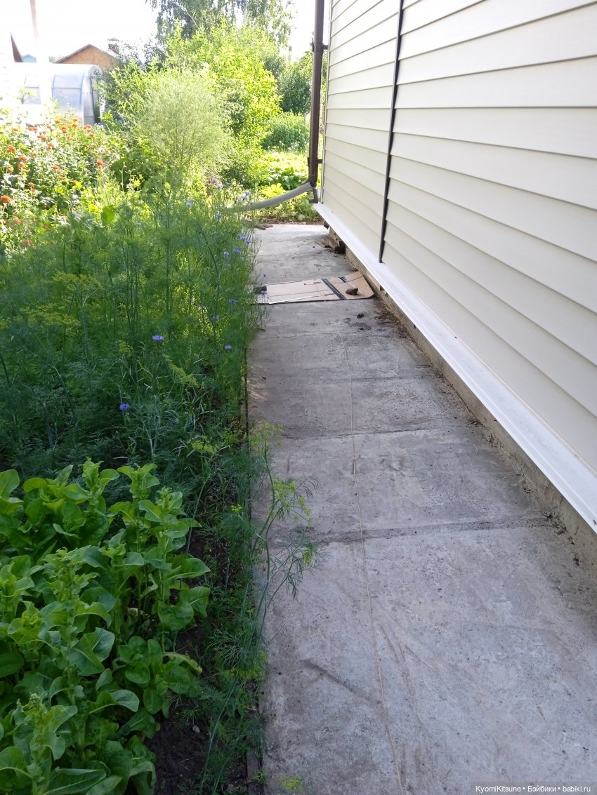 Театральный августфест 22: закадровое