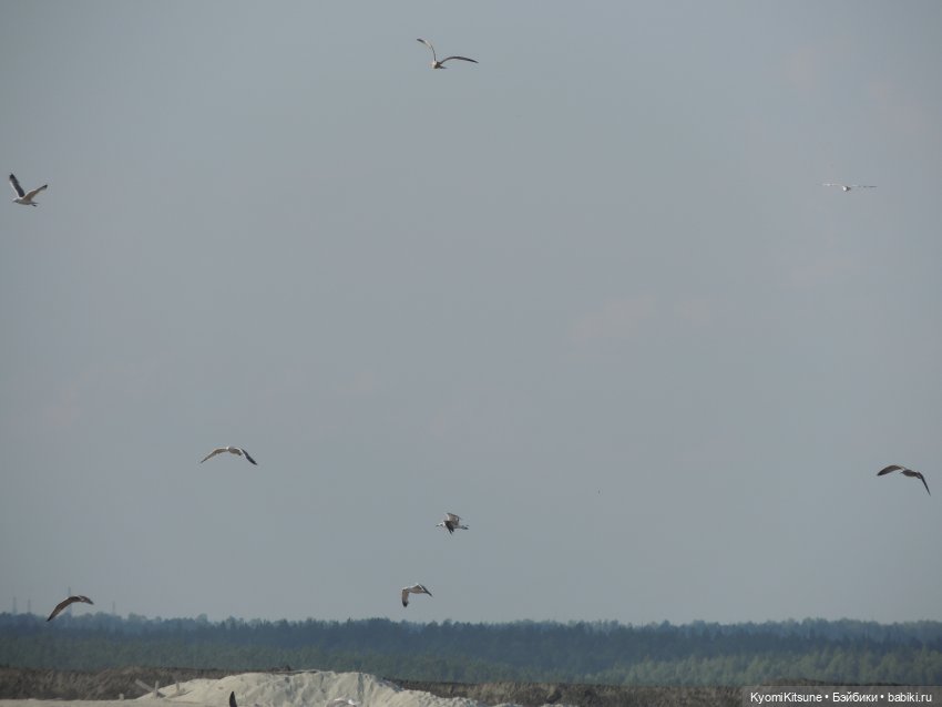 Театральный августфест 22: закадровое