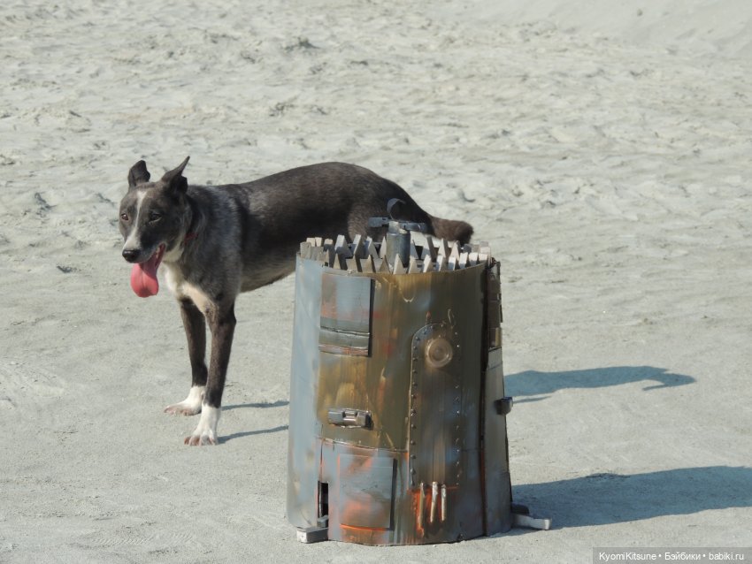 Театральный августфест 22: закадровое (фото 10)