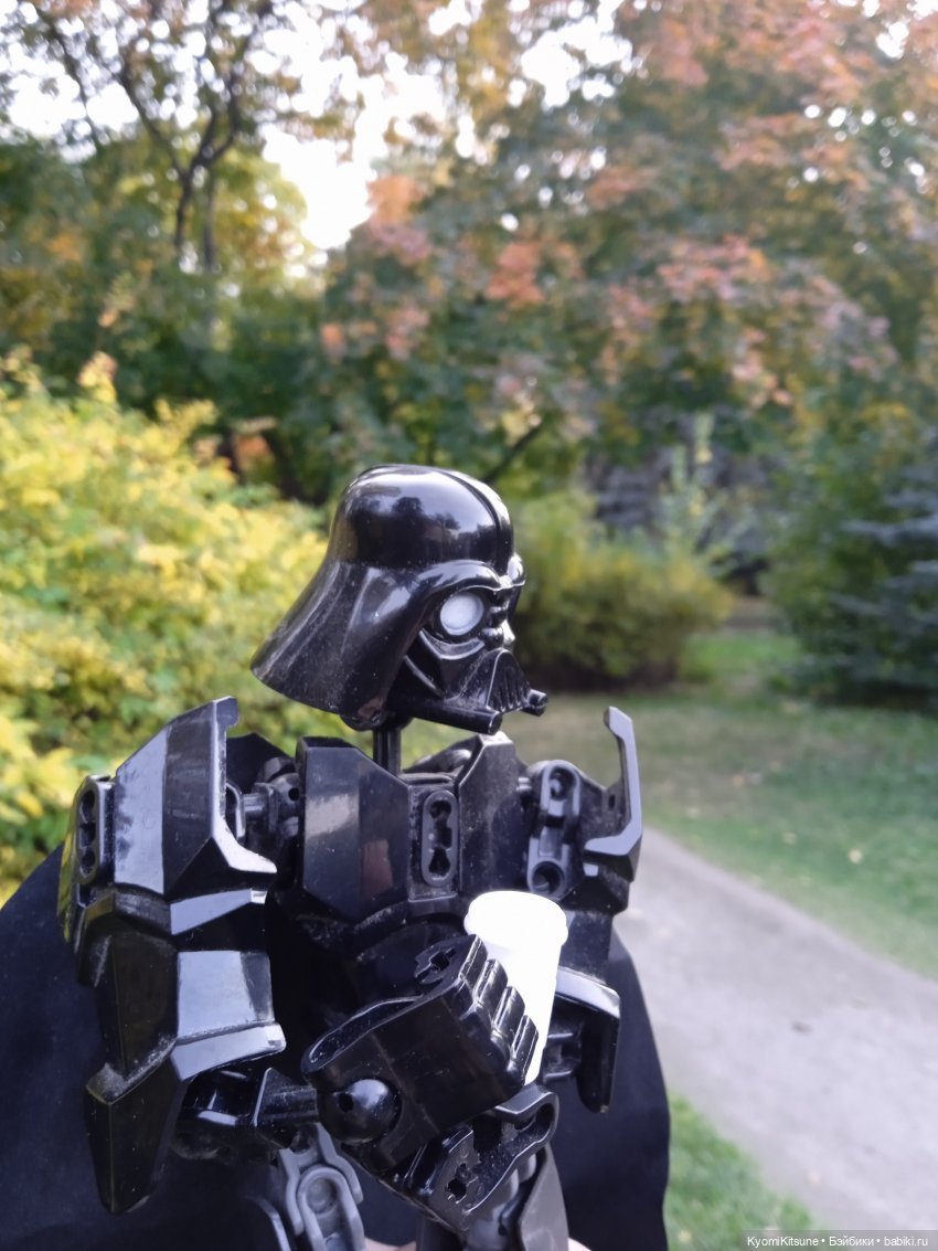 Осеннее (Киëми, Энакин, Юэн, Франческа) (фото 8)