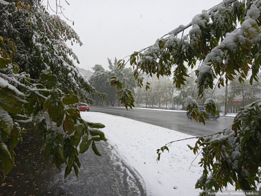 Осеннее (Киëми, Энакин, Юэн, Франческа)