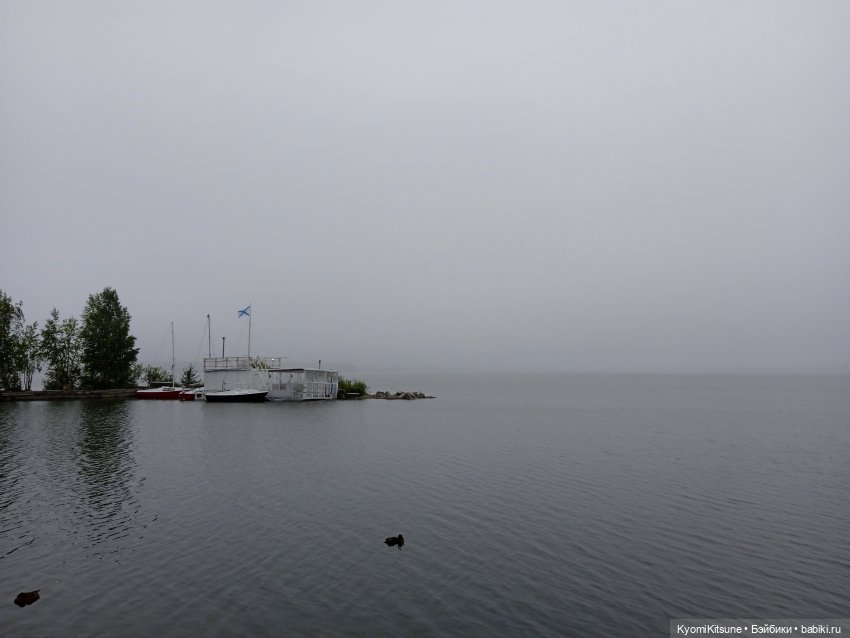 Осеннее (Киëми, Энакин, Юэн, Франческа) (фото 3)