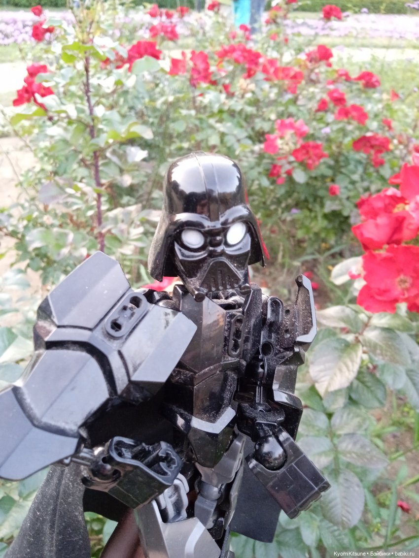 Осеннее (Киëми, Энакин, Юэн, Франческа) (фото 7)