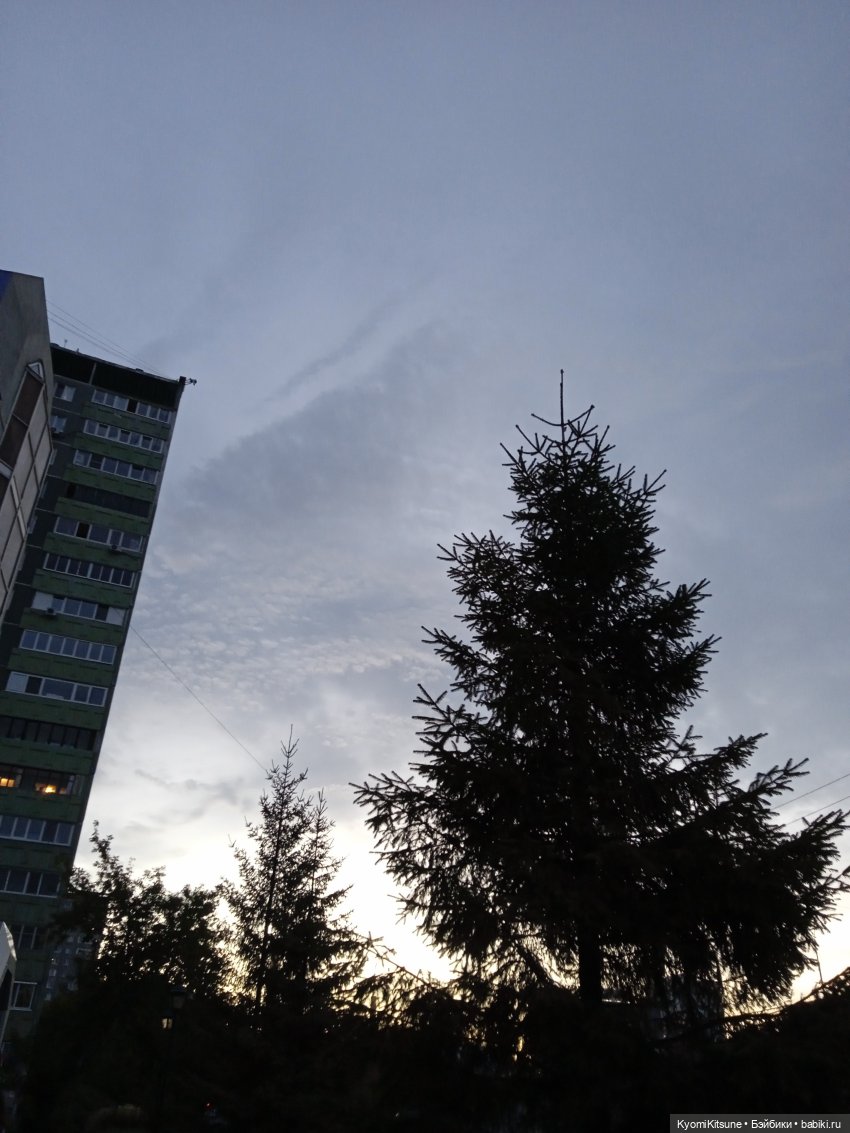 Осеннее (Киëми, Энакин, Юэн, Франческа)