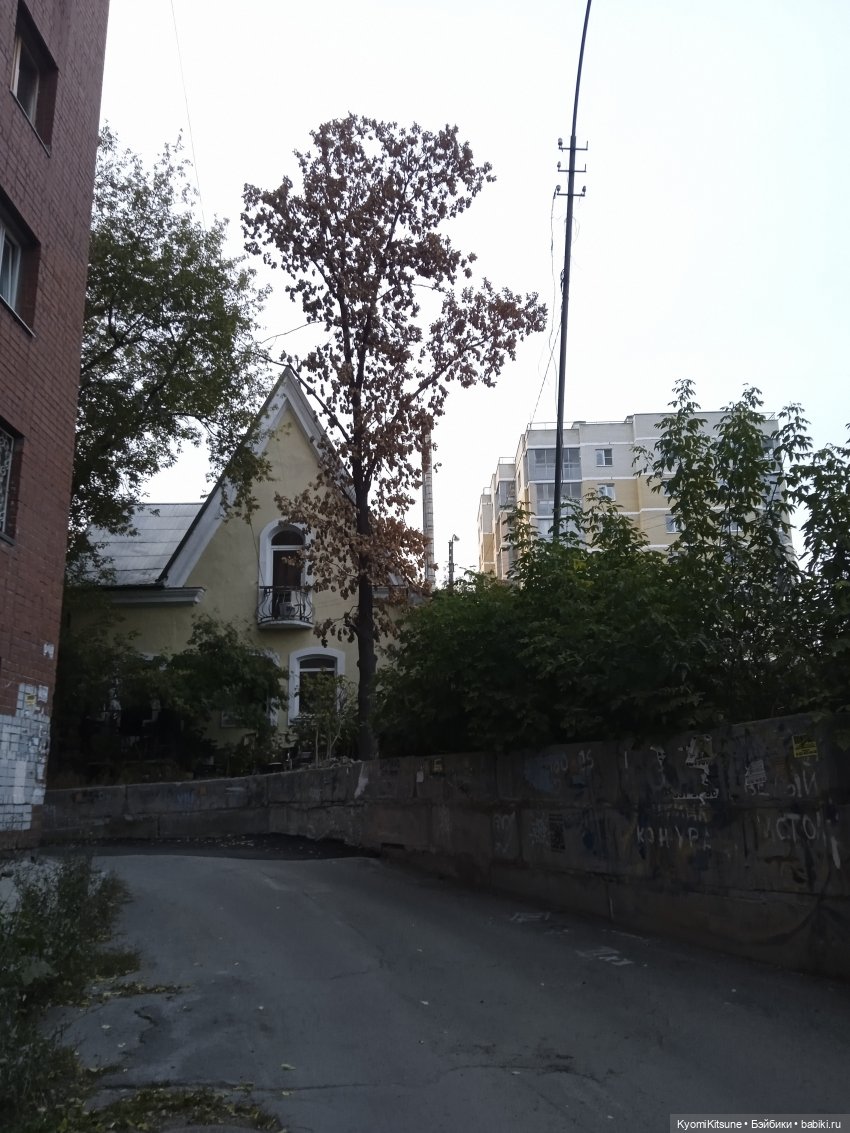 Осеннее (Киëми, Энакин, Юэн, Франческа)