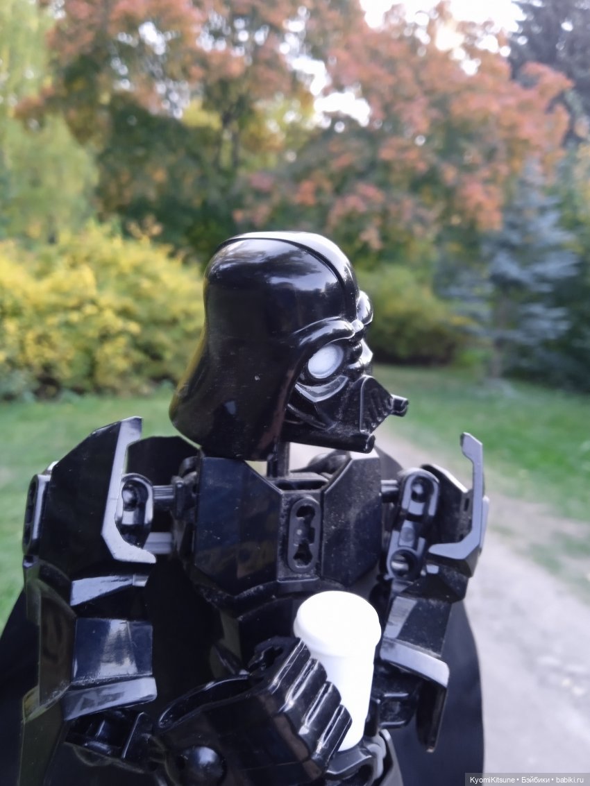 Осеннее (Киëми, Энакин, Юэн, Франческа) (фото 6)