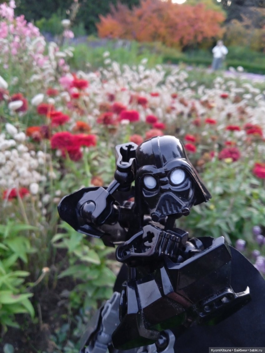 Осеннее (Киëми, Энакин, Юэн, Франческа) (фото 9)