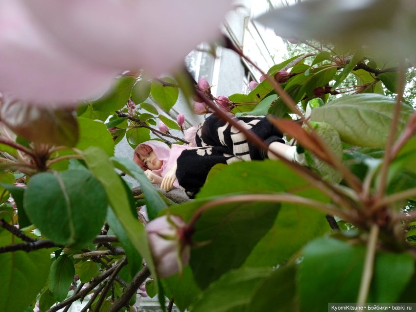 Для тебя во всем цвету — Гибриды шарнирных кукол (не БЖД): подбор тела (фото 5)