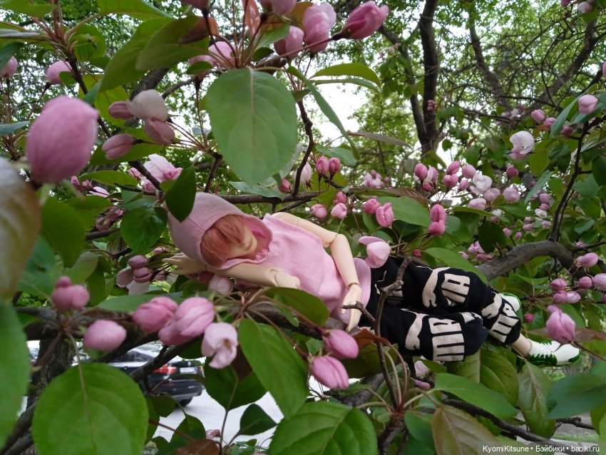 Для тебя во всем цвету — Гибриды шарнирных кукол (не БЖД): подбор тела (фото 2)