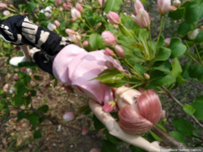 Для тебя во всем цвету — Гибриды шарнирных кукол (не БЖД): подбор тела (фото 10)