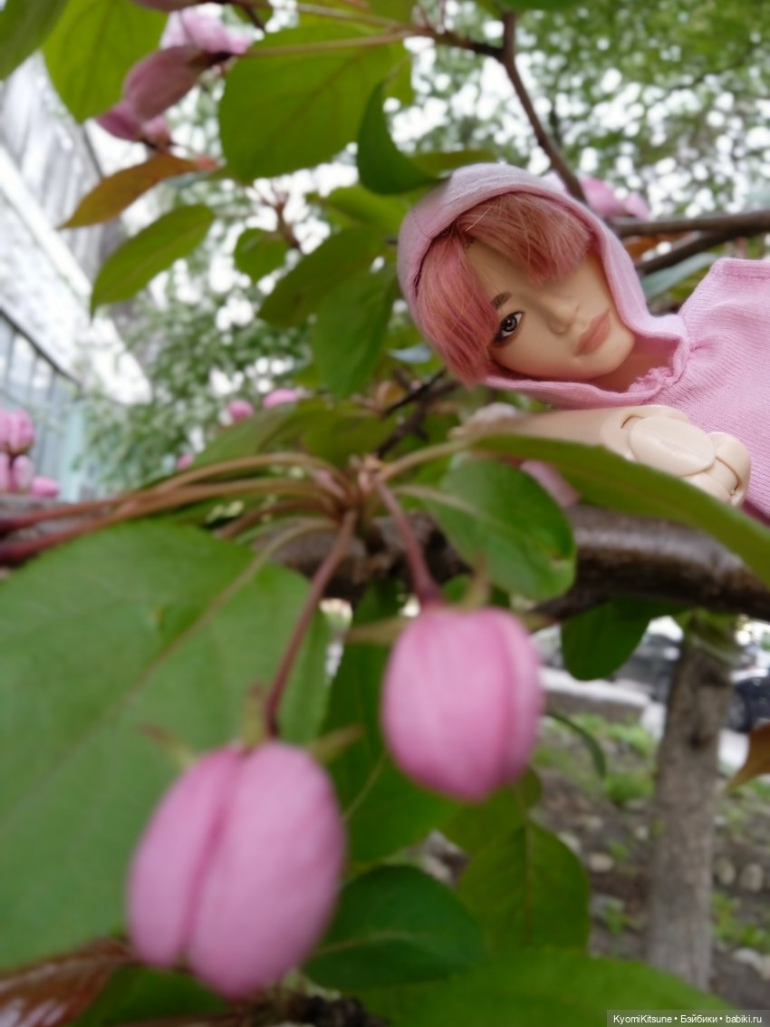 Для тебя во всем цвету — Гибриды шарнирных кукол (не БЖД): подбор тела (фото 4)