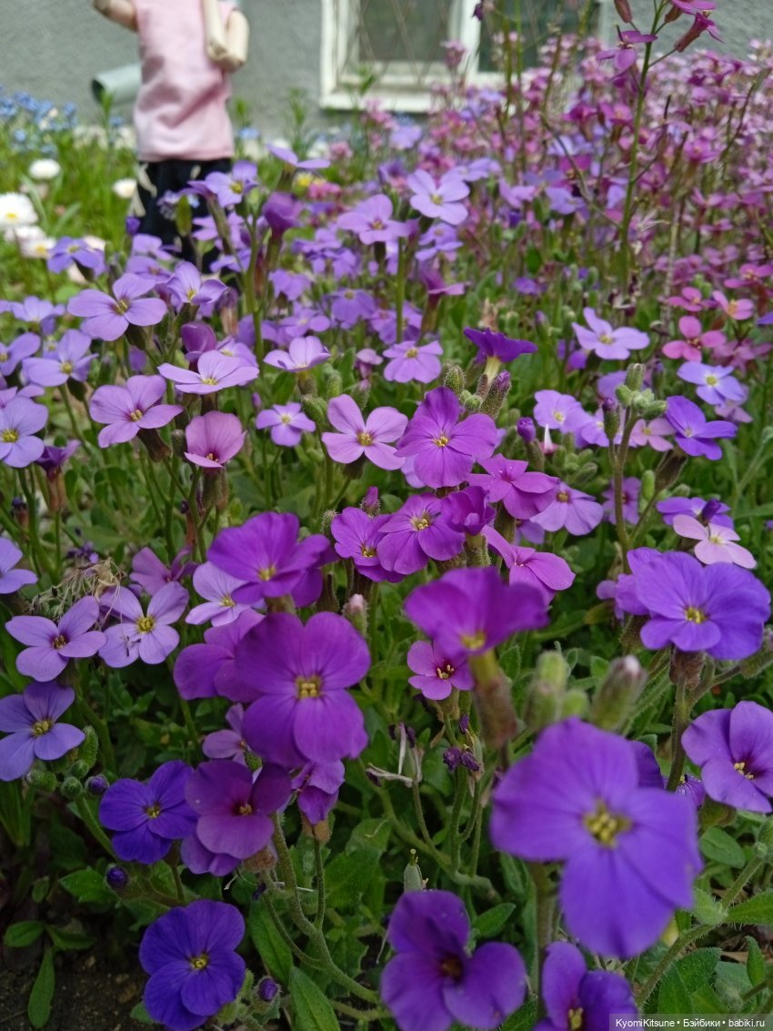 Для тебя во всем цвету — Гибриды шарнирных кукол (не БЖД): подбор тела