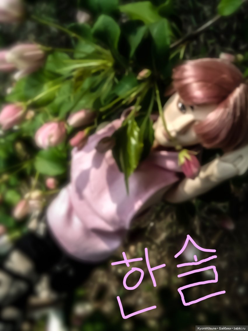 Для тебя во всем цвету — Гибриды шарнирных кукол (не БЖД): подбор тела