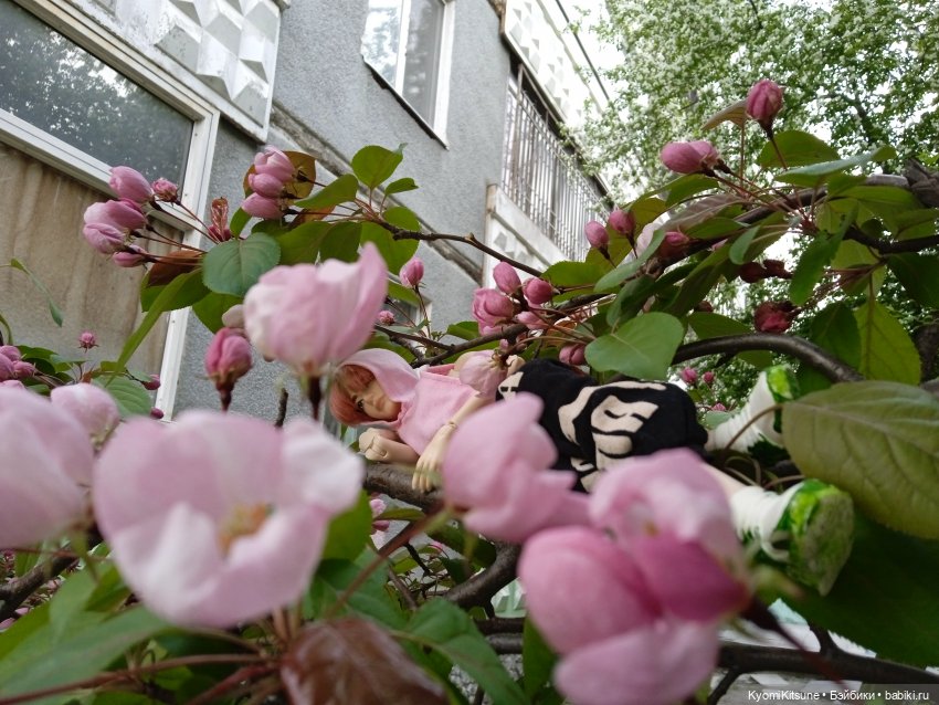 Для тебя во всем цвету — Гибриды шарнирных кукол (не БЖД): подбор тела (фото 6)