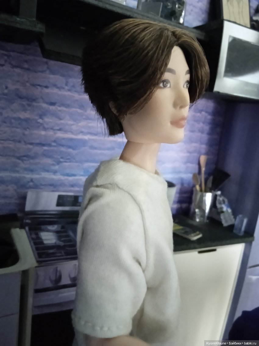 Укрощение строптивых — Кукольные фотоистории и сериалы: комиксы