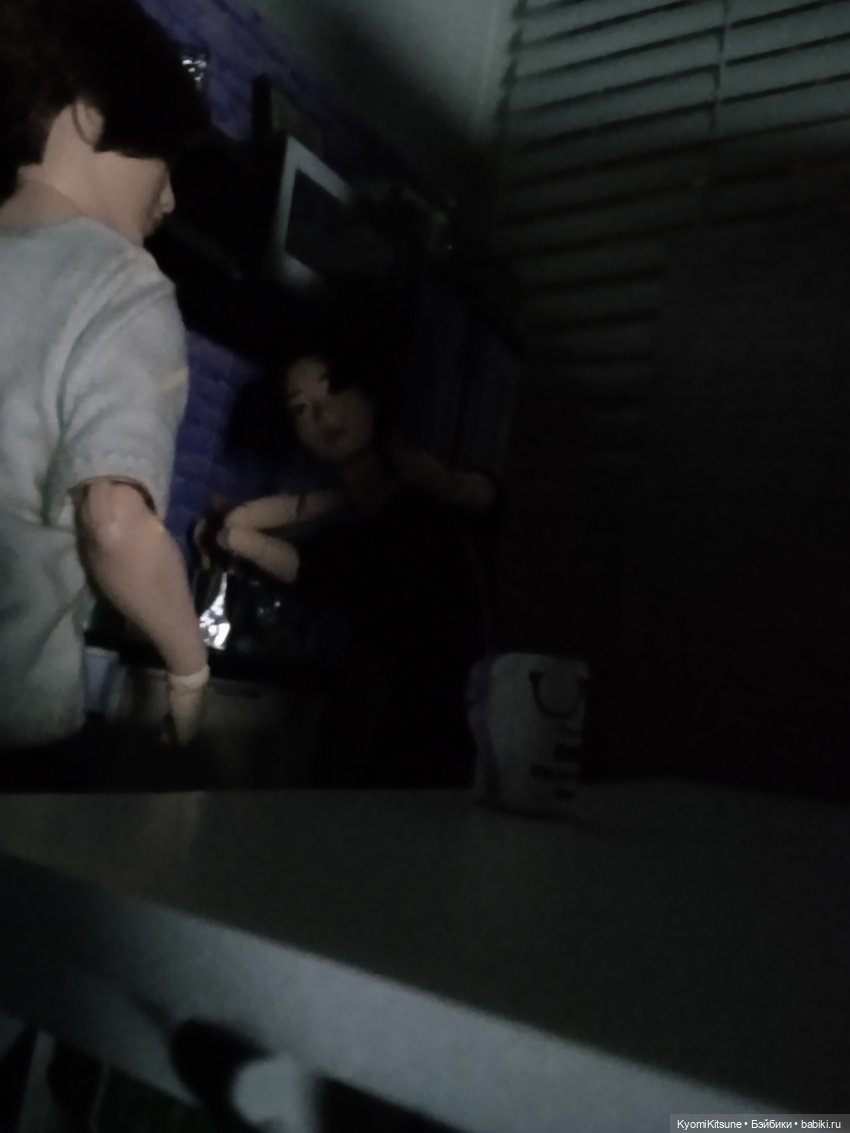 Укрощение строптивых — Кукольные фотоистории и сериалы: комиксы