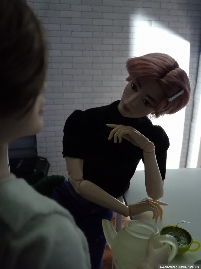 Укрощение строптивых — Кукольные фотоистории и сериалы: комиксы