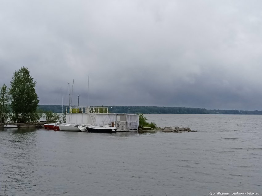 С днем рожденья кота — Кукольные фотоистории и сериалы: комиксы (фото 3)