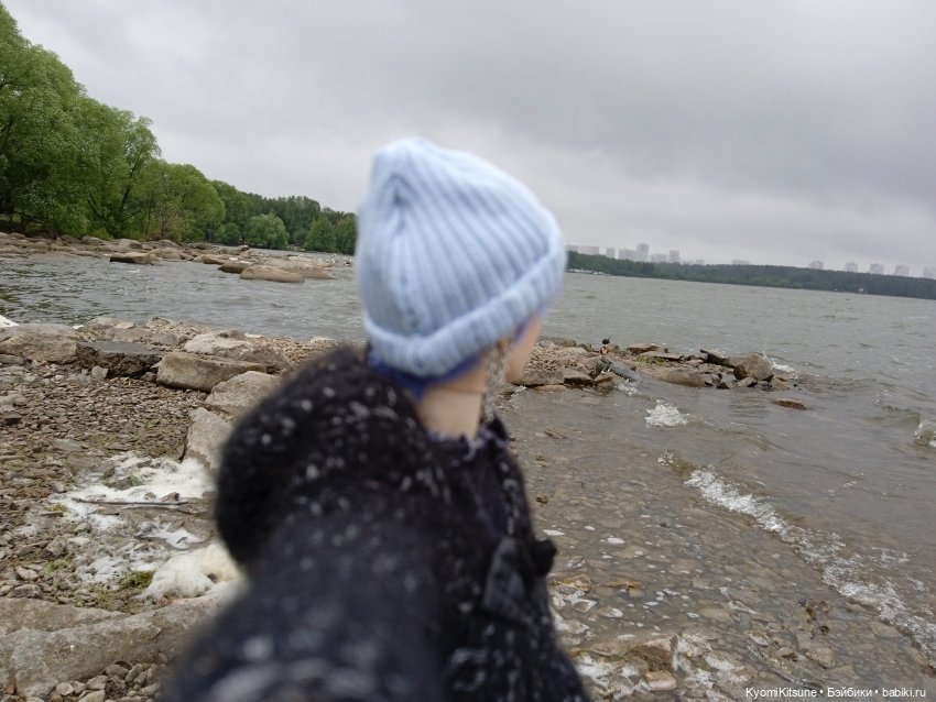 С днем рожденья кота — Кукольные фотоистории и сериалы: комиксы (фото 8)