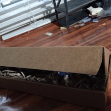 День взятия почтилии