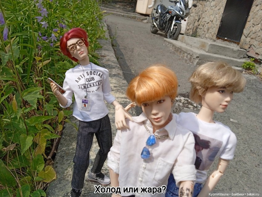 Просто гулять? Это явно не про них