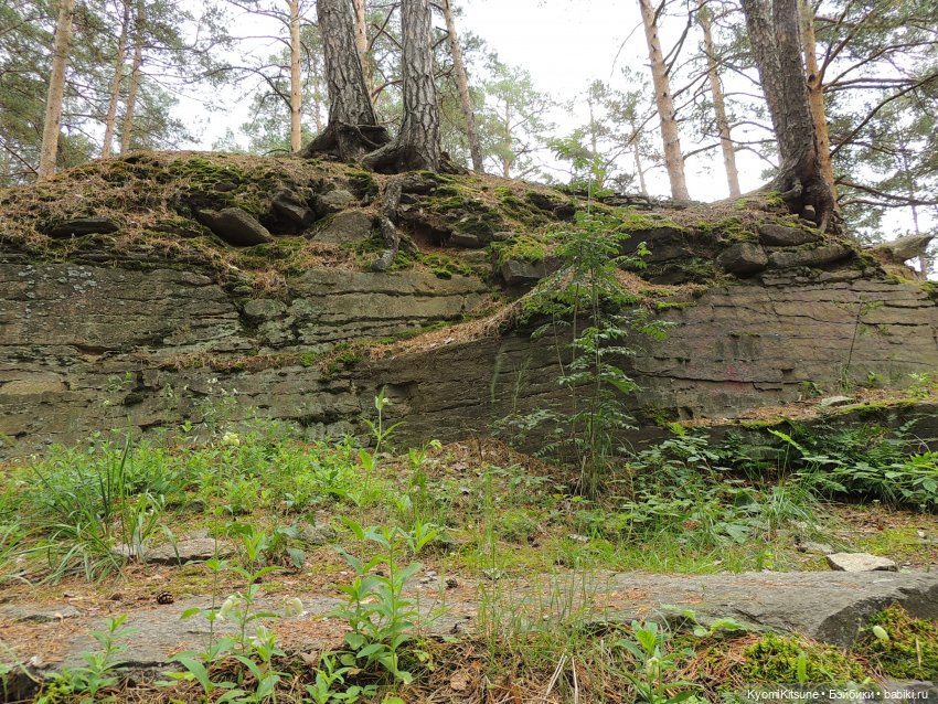 Затерянные в Канхвадо — Гибриды шарнирных кукол (не БЖД): подбор тела