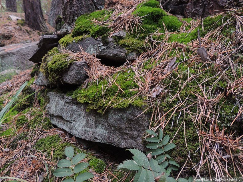 Затерянные в Канхвадо — Гибриды шарнирных кукол (не БЖД): подбор тела (фото 9)