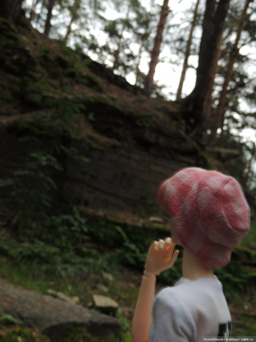 Затерянные в Канхвадо — Гибриды шарнирных кукол (не БЖД): подбор тела