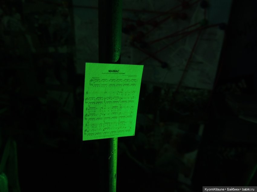 Хроники великолепной восьмёрки. Первое выступление Fluorite (фото 10)