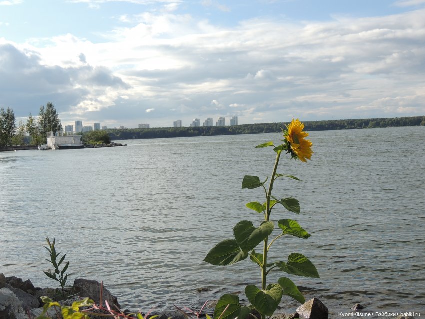 Пикап пончо или обычный день обычного китайского мужика