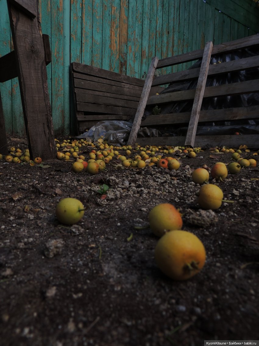 Night apple is... poison apple (фото 4)