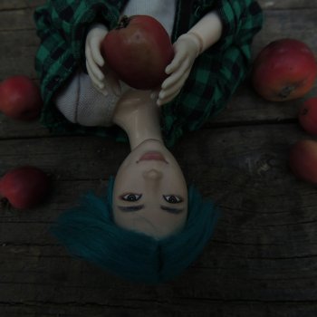 Night apple is... poison apple