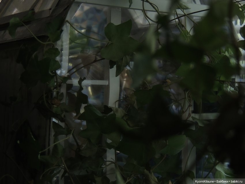 Отжиг по-флюоритовски или нехорошие мыслишки