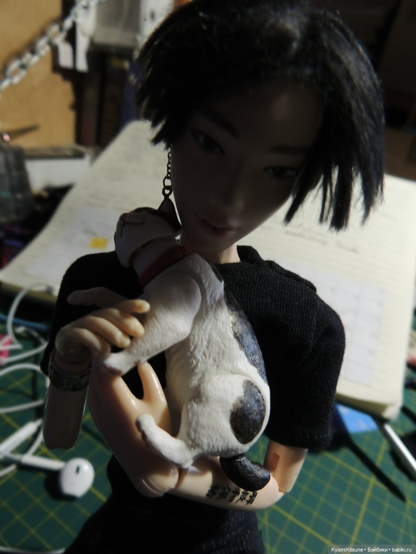 Если бы у меня был такой кот