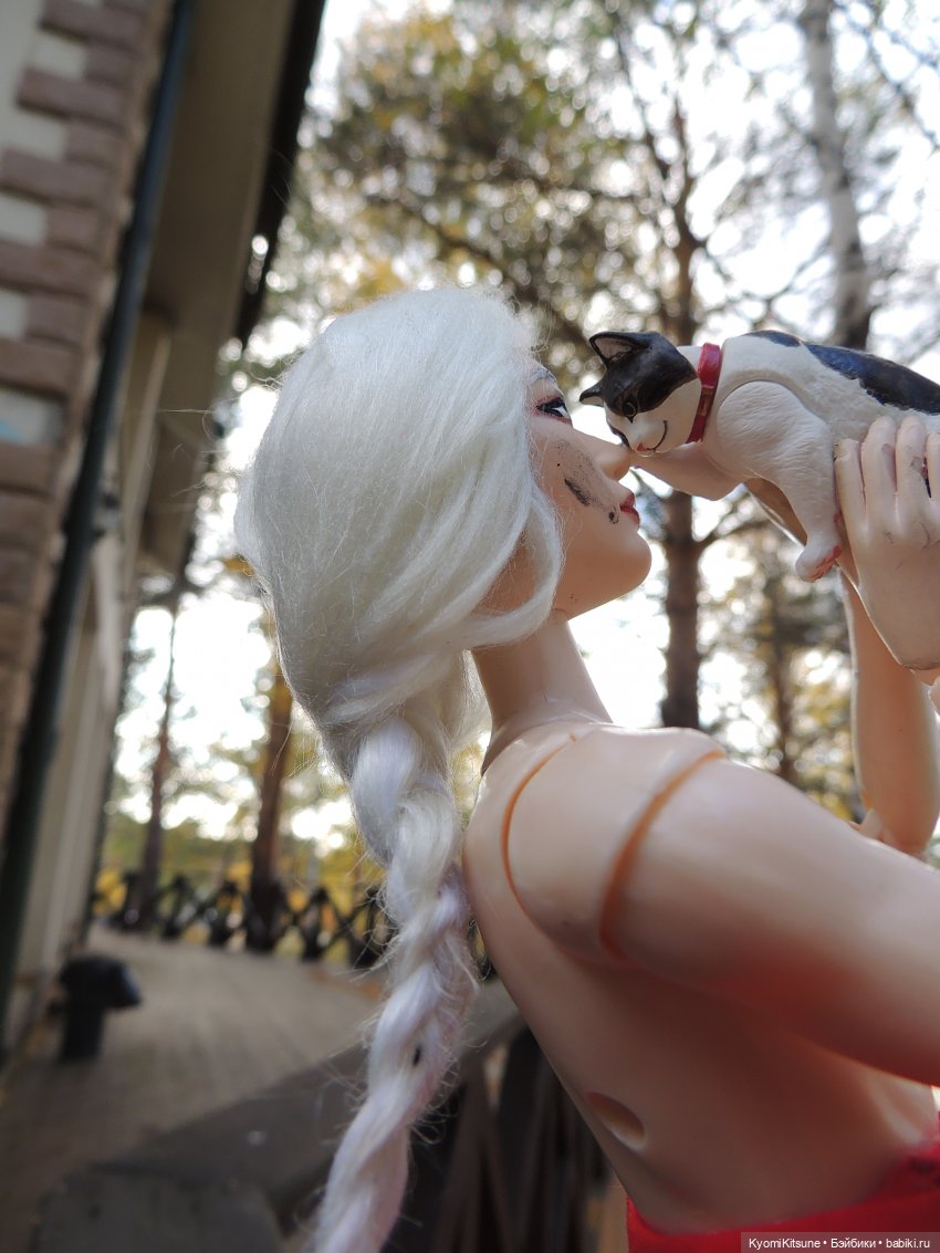 Если бы у меня был такой кот (фото 4)