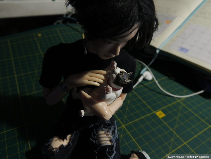 Если бы у меня был такой кот (фото 8)