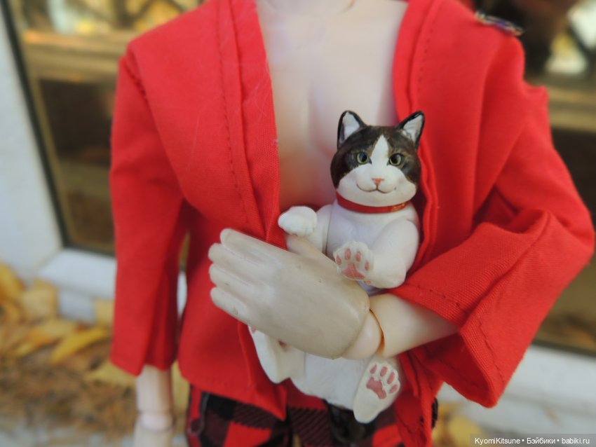 Если бы у меня был такой кот (фото 7)