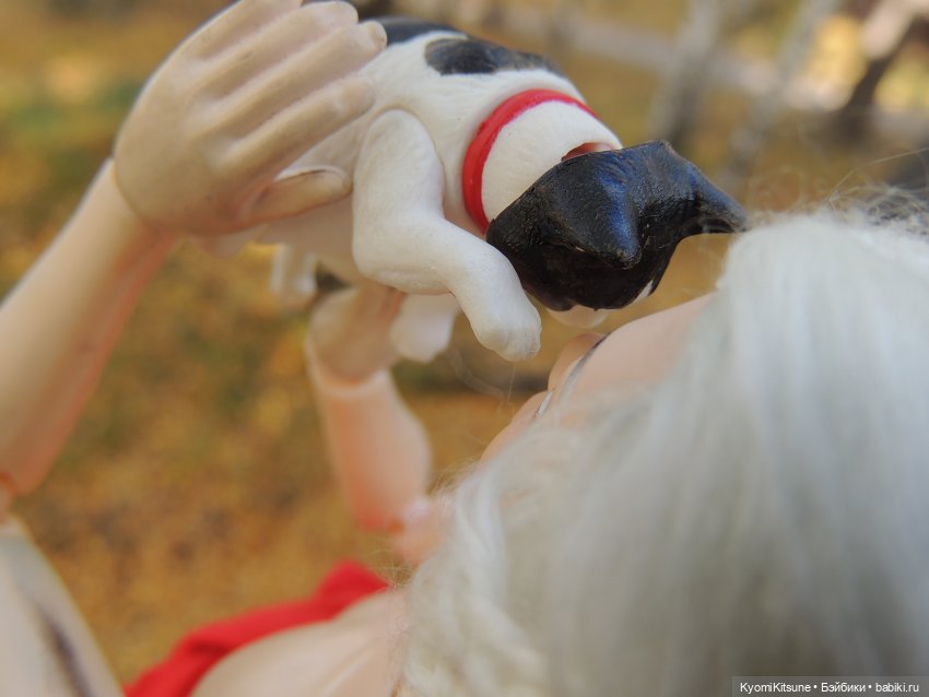 Если бы у меня был такой кот (фото 6)