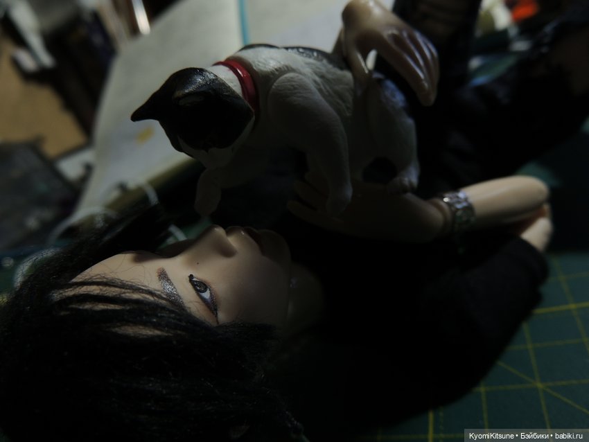 Если бы у меня был такой кот (фото 9)