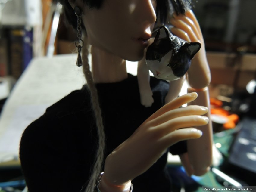 Если бы у меня был такой кот