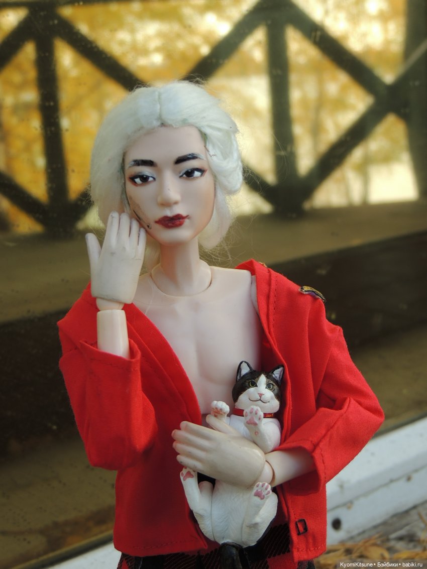 Если бы у меня был такой кот