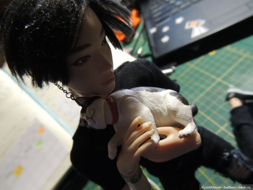 Если бы у меня был такой кот