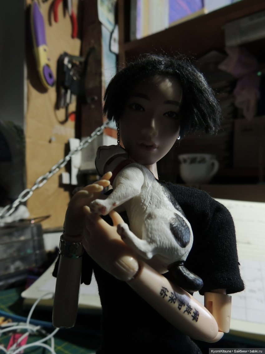 Если бы у меня был такой кот (фото 10)