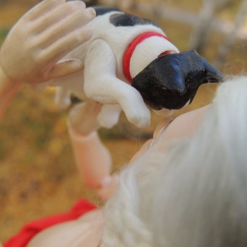 Если бы у меня был такой кот...