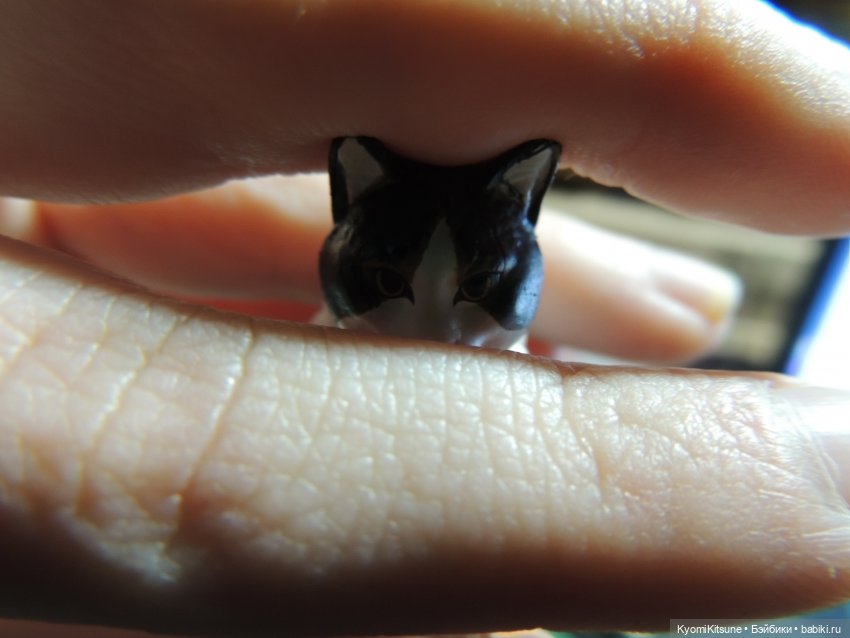 Если бы у меня был такой кот