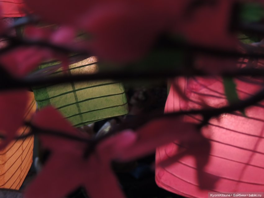 "С новым годом?" или Фестиваль фонарей