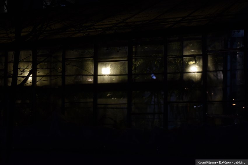 Не темно — Куклы BTS (БТС) от Mattel: K