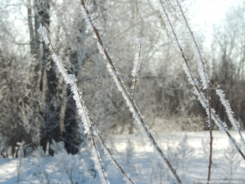 Весна Су Тенцинга — Куклы BTS (БТС) от Mattel: K (фото 3)